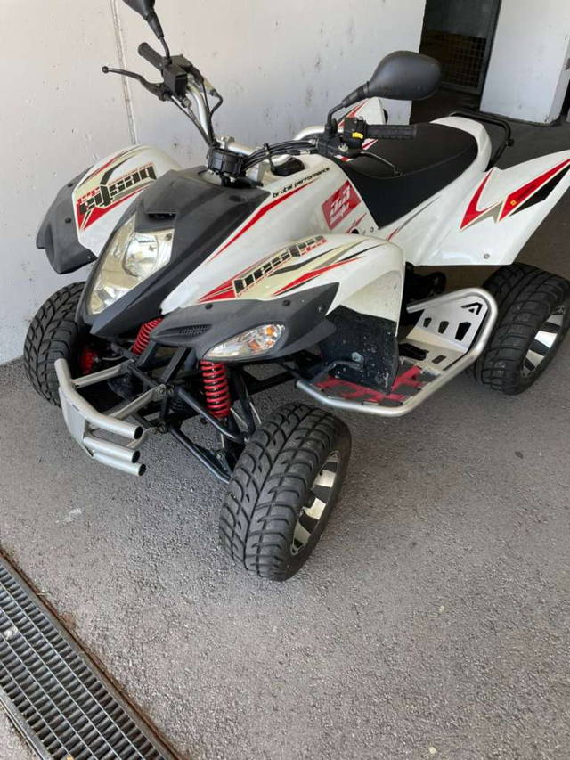 Beeline Bestia 3.3 Quad