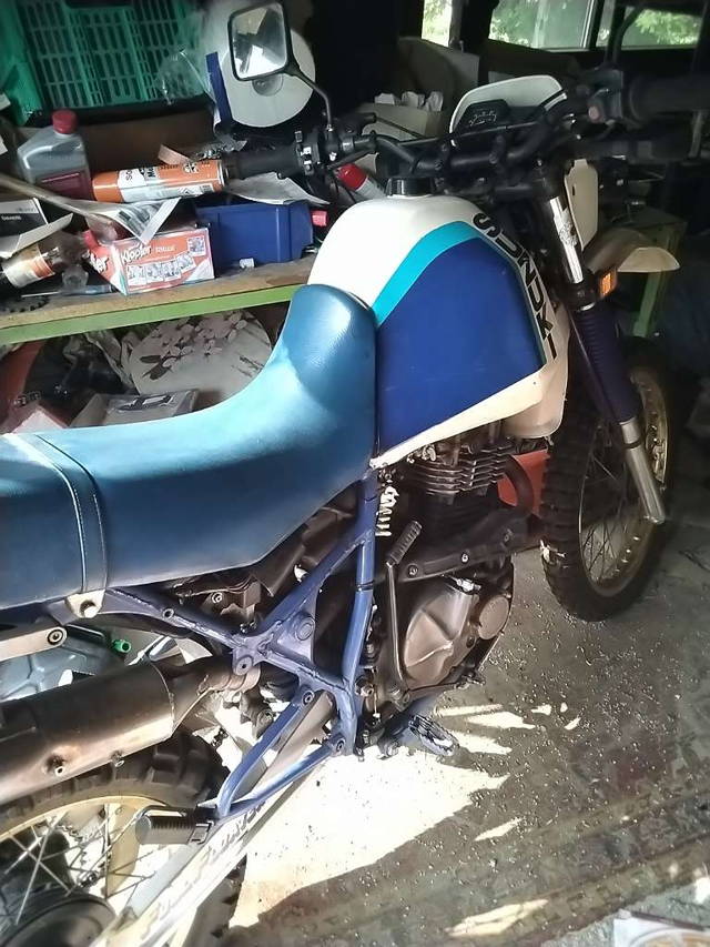 Suzuki DR Enduro