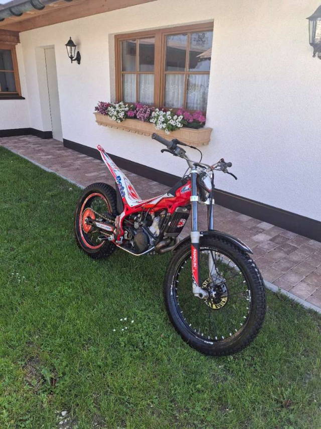 Beta Evo 300 Trial