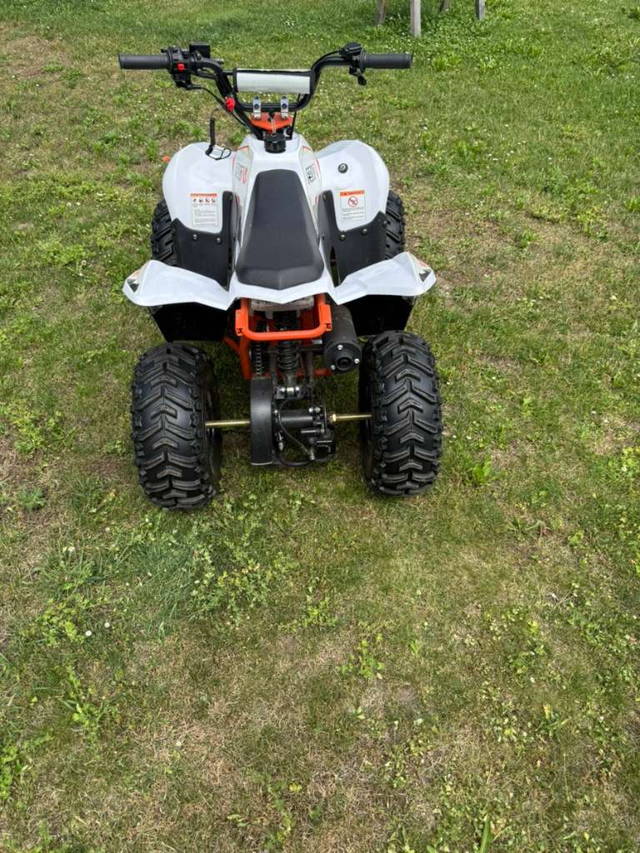 Kayo 70 Quad