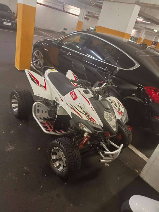 Beeline Bestia ATV-A500SM Quad