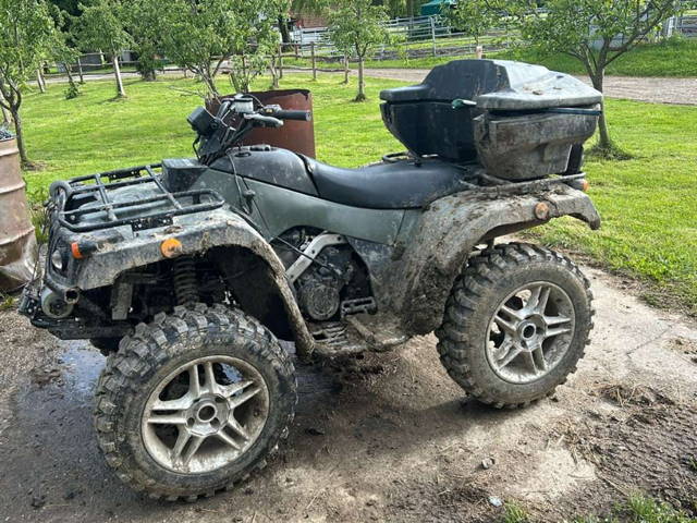 Arctic Cat Quad