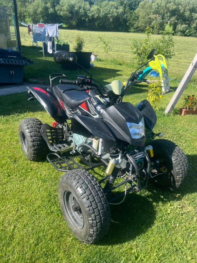 Bashan BS 250-11 Quad
