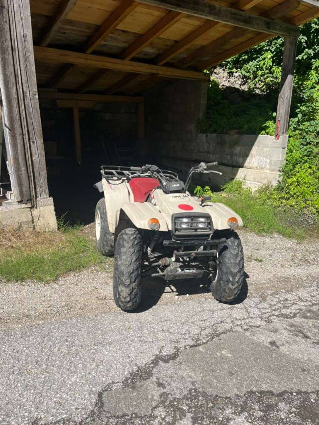 Yamaha Big Bear 350 Quad