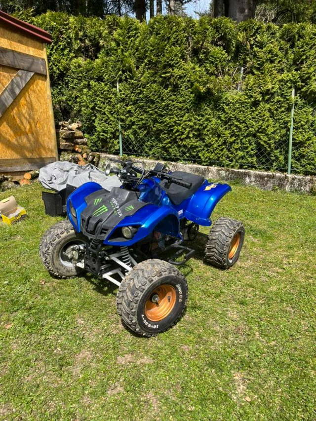 Elektro Quad
