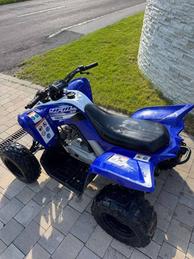 Yamaha YFM 90 Quad