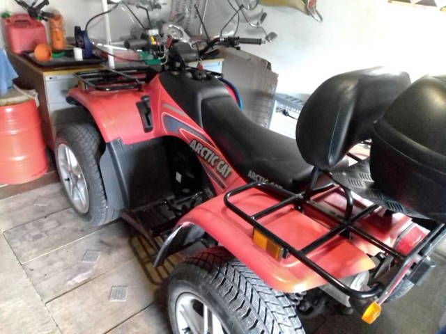 Arctic Cat Wildcat Quad