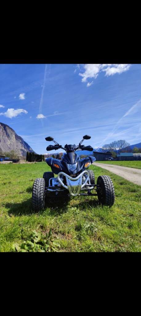 Dinli 450 Special S Quad