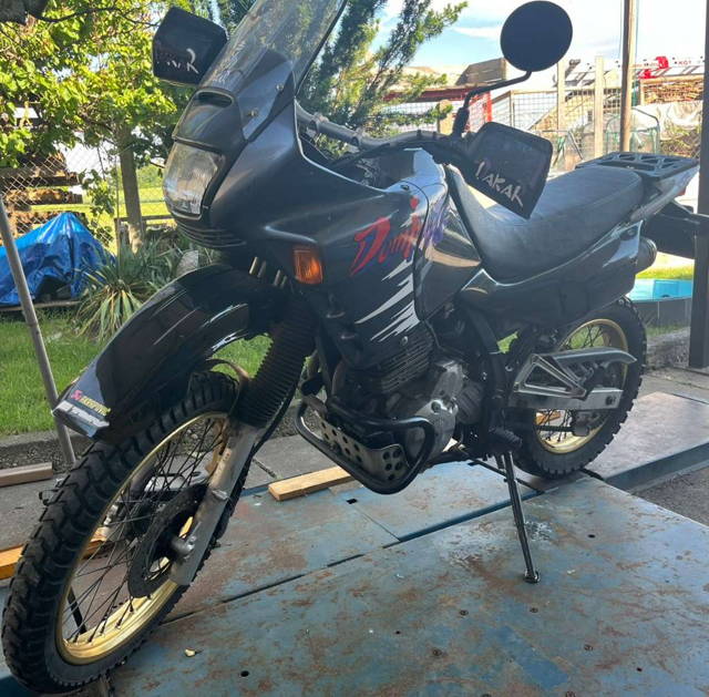 Honda Dominator Nx650 Enduro