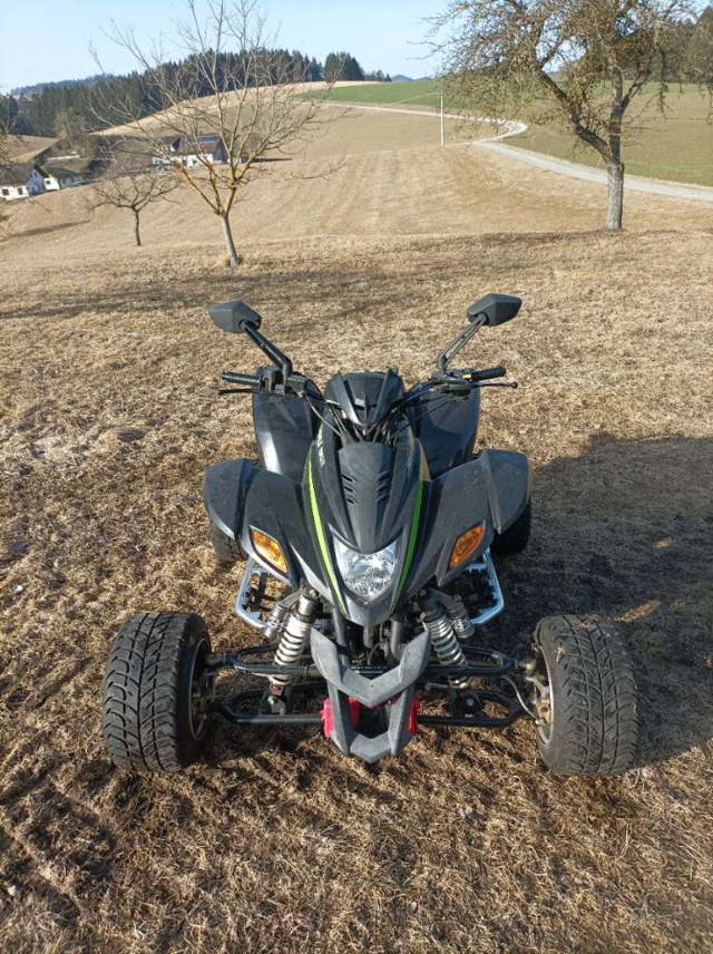 Dinli 450 Special S Quad