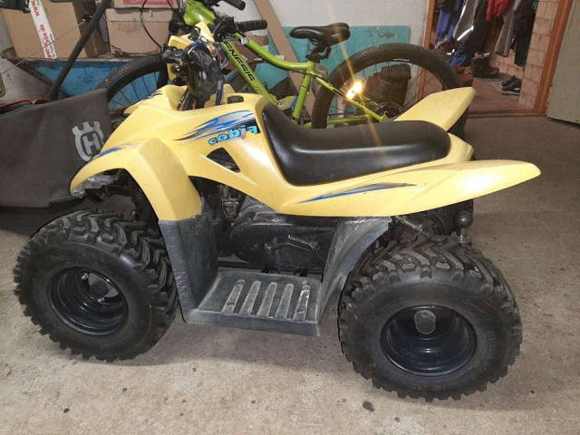 Yamaha Dinli Cobia Quad