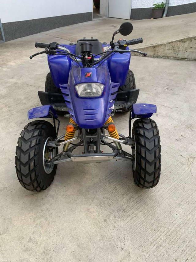 Explorer Stinger 250 Quad