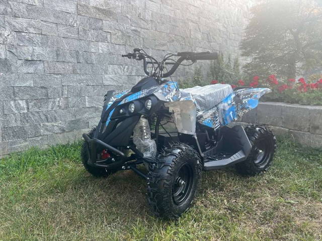 Kinder Elektro Quad AKTION 1000 W Quad