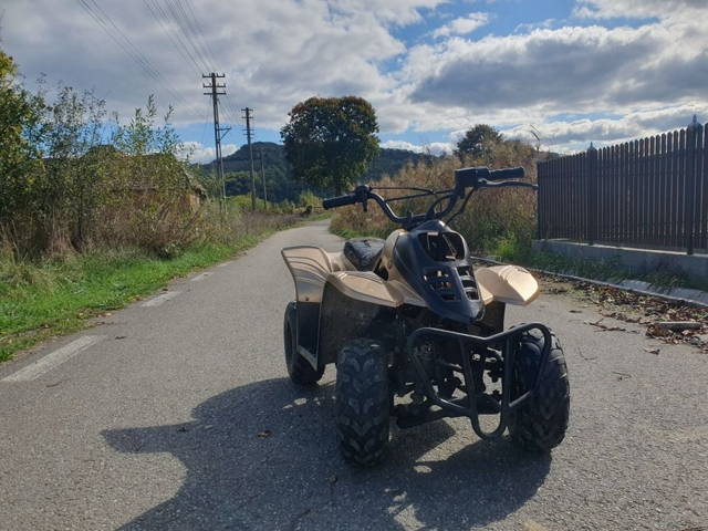 Vand Sau Schimb Atv 110