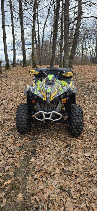 Can am renegade 500