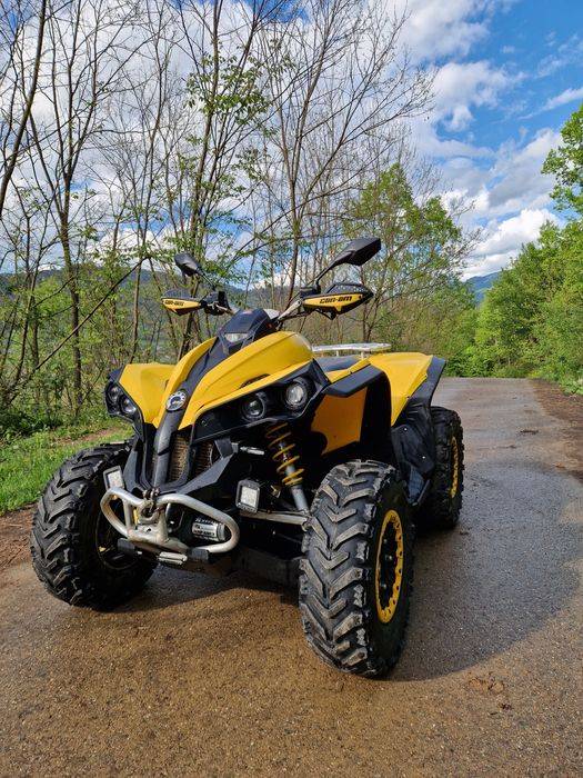 Can am renegade 800