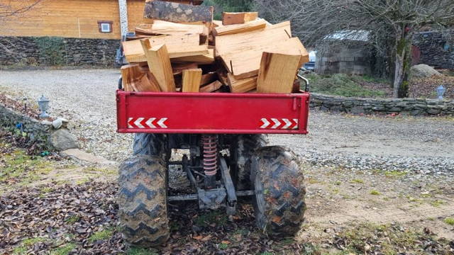 Polaris Big Boss