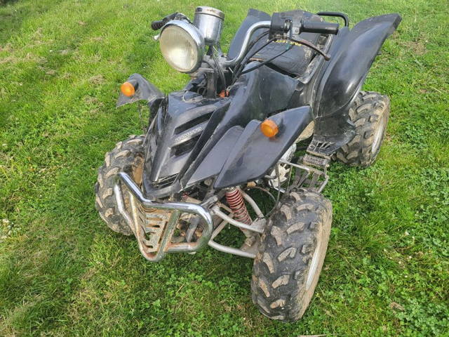 bashan 200cc cu reversor