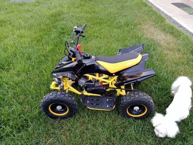 ATV copii 49 cm preț fix 2200 ron