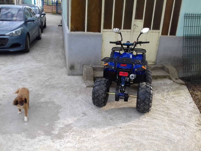 ATV 125cc Tip Hummer Cutie automata