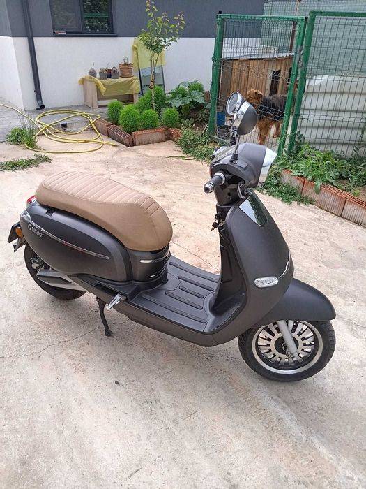 Tinbot  F10 electric inmatriculat