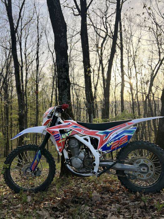 Barton 250 nxt 2024