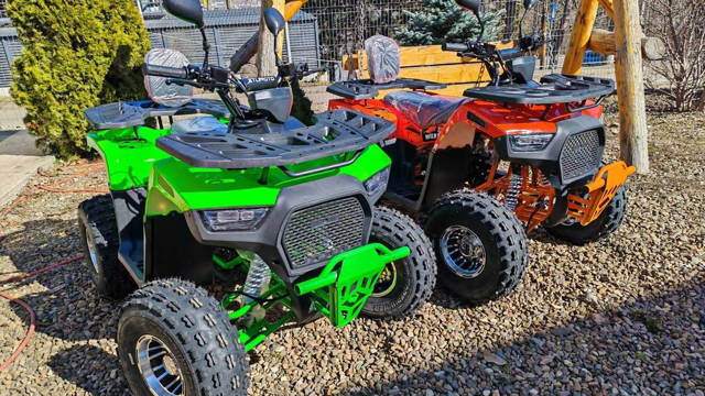 HUNTER - WILD- BULL , Automatik, 125cc -149cc  Nou 2025 , Robust