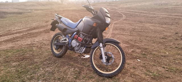 Honda dominator nx650 carnet A2