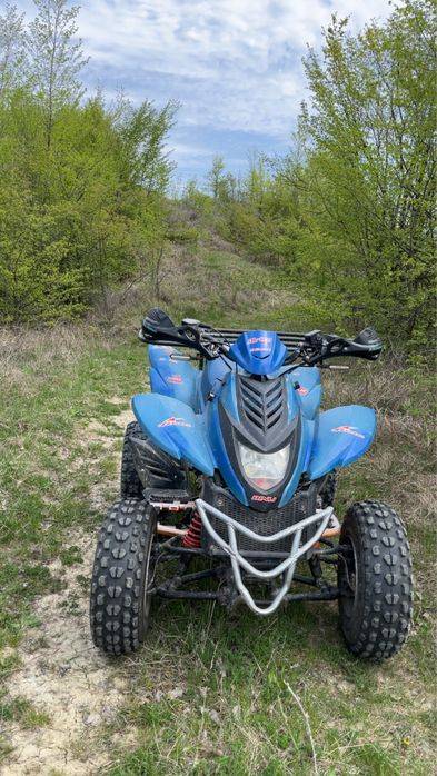 Atv dinli 801 300cc