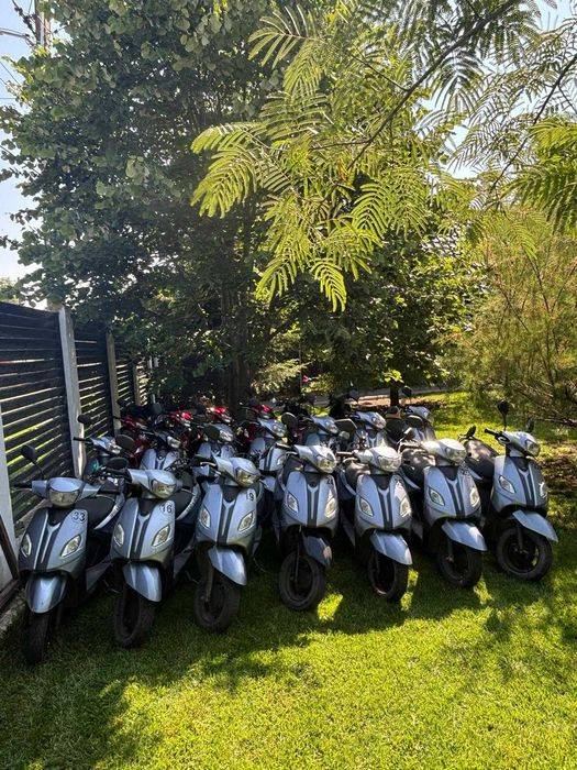 Scutere 50 cc Model Apec (2023 și 2024)