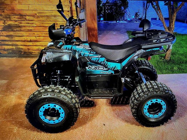 Atv 1200 W / Nou / An 2024 / Bord Digital / Automat / Masalier /