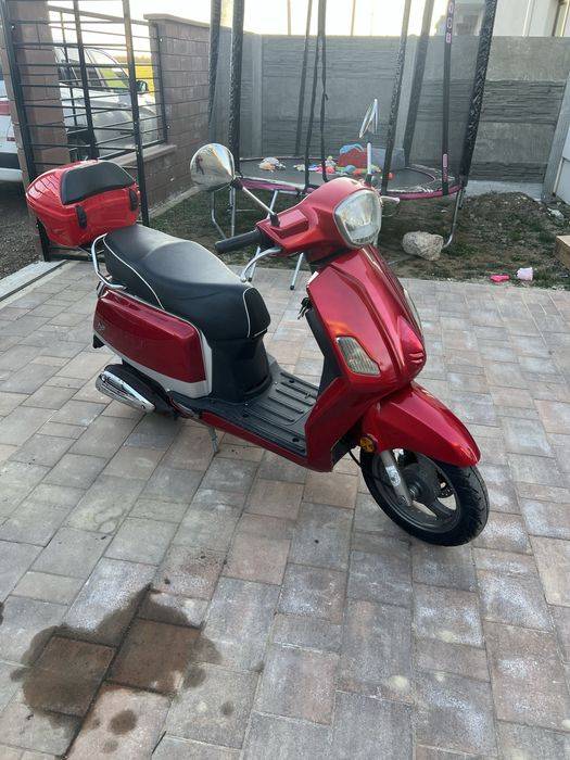 Scuter adus din austira 49
