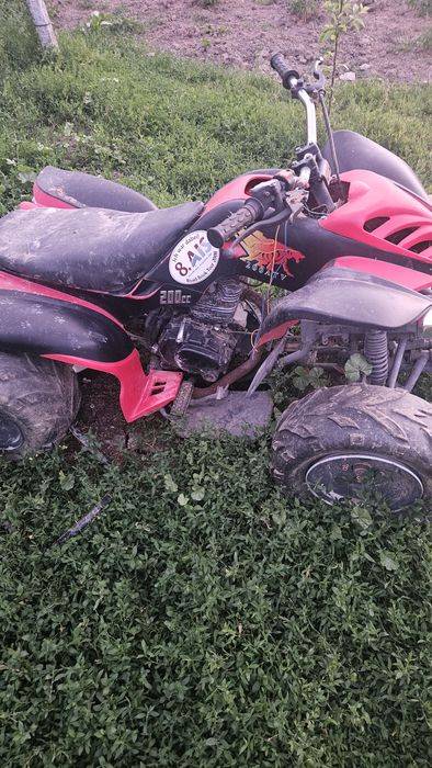 Atv bashan 200cm