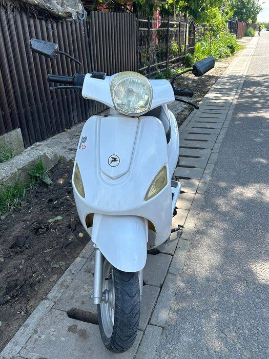 Pegasus p50 4 timpi