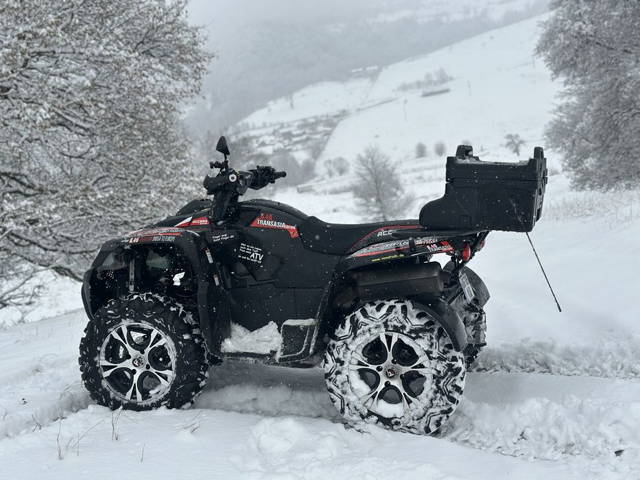 ATV 4x4-Access AX-700 Transasia Limited edition,injectie,rar efectuat