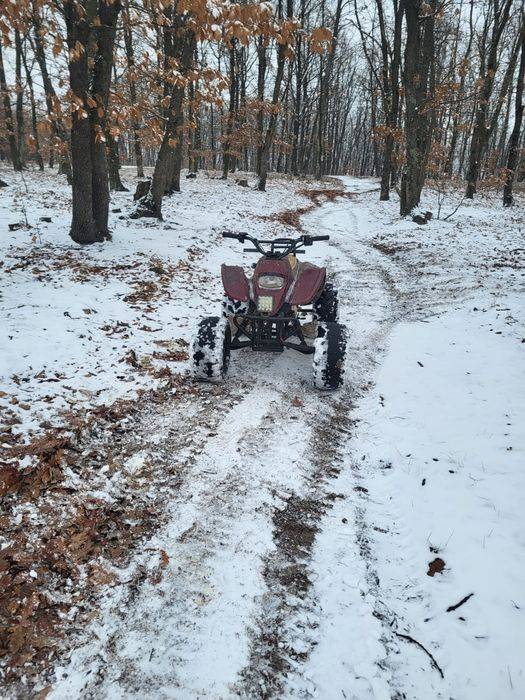 Atv 125 cu cadru de 250