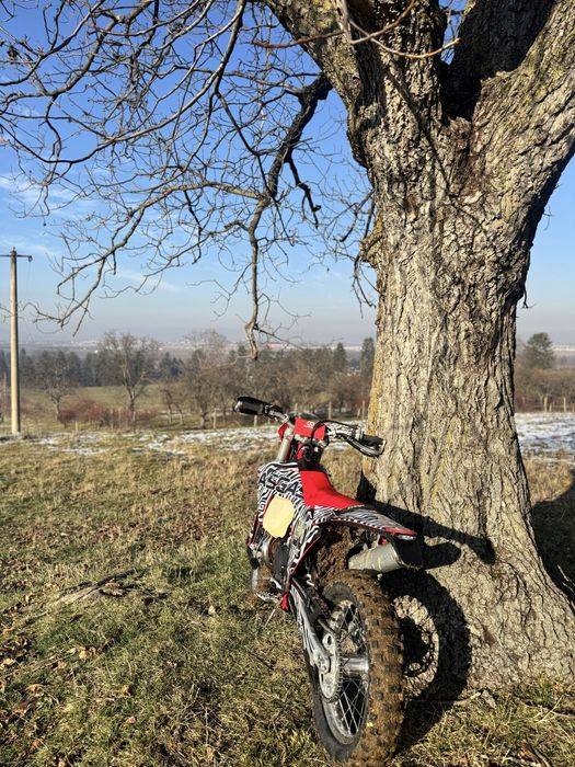 Gas Gas EC 300 MY 2024