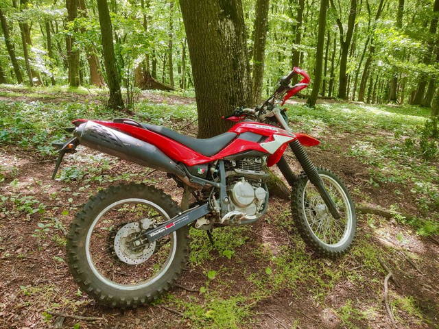 Enduro Beta Alp 350 (Suzuki DR)