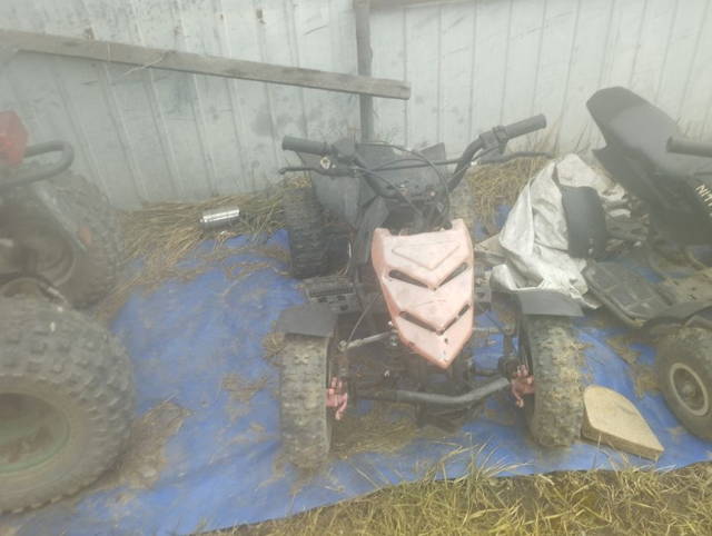 ATV 50cc schimb go kard