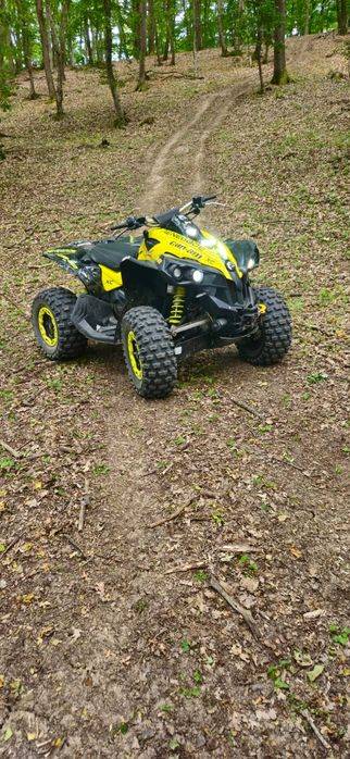 vand can am renegade