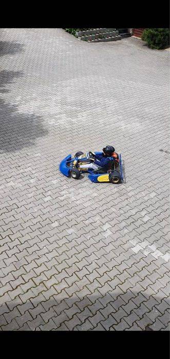 Kart copii si adulti
