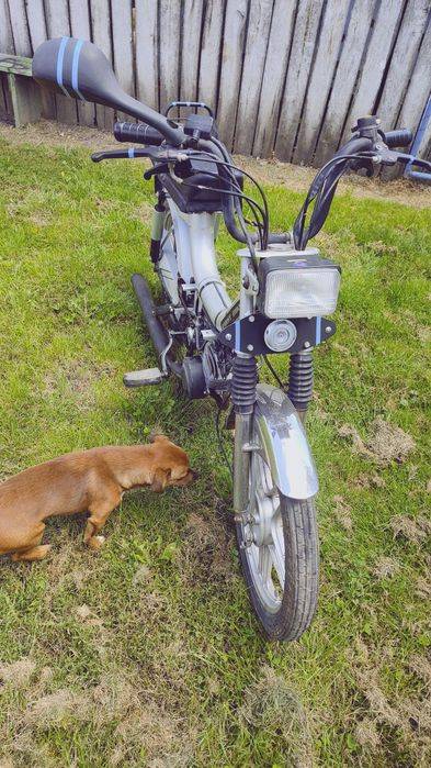 Vând sau schimb cum motosapă sau ATV sau în bani