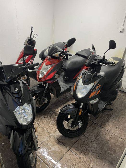 Scuter cu permis si fara permis