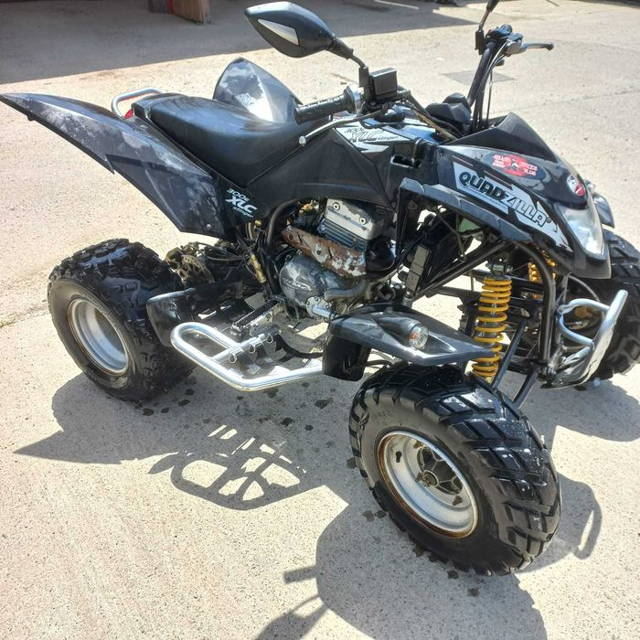 ATV Quadzilla 300