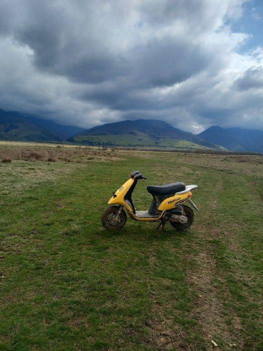Piaggio typehoon 80