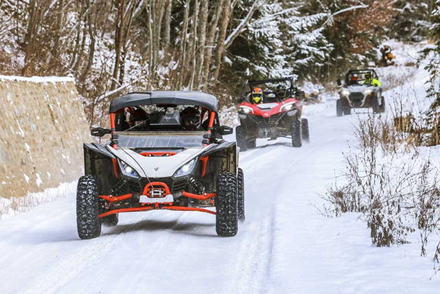 Utv, Atv, Buggy Segway Villain SX10