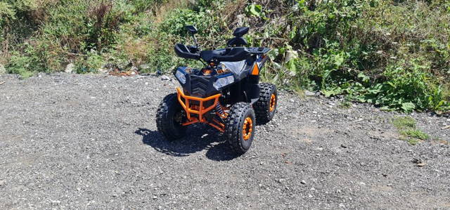 KXD PRO GERMANY 140CC 4 timpi 3+1 viteze roti 8 inch