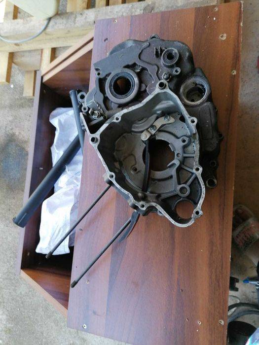 Motor Bashan 300