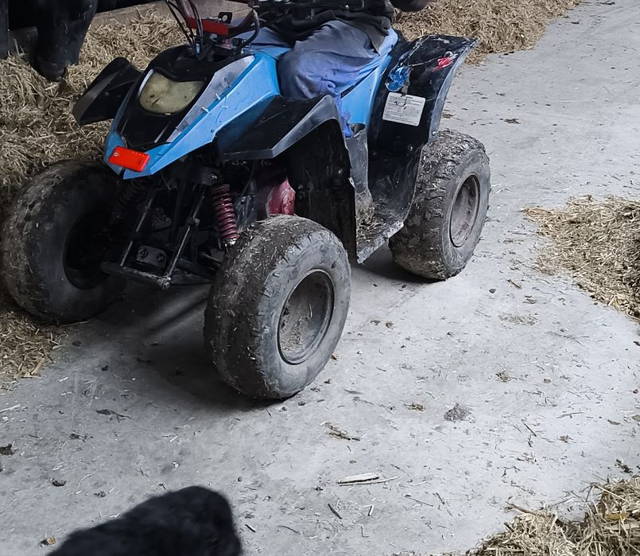 ATV   aveom  avalanche 100 cc 2 timpi