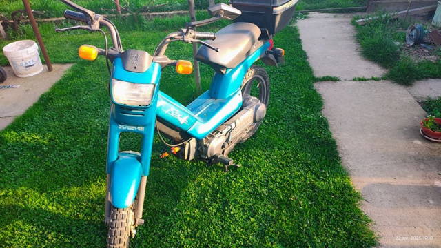 Moped Peugeot fox 50